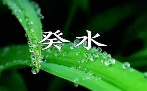 葵水命罕见吗|癸水人都是神胎转世，“神祇投胎，前世遂逐”。